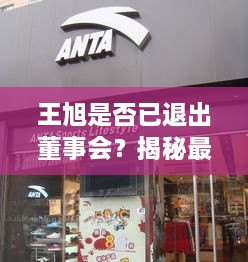 王旭是否已退出董事会？揭秘最新动态消息解析