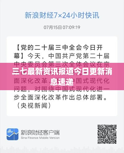 三七最新资讯报道今日更新消息速递