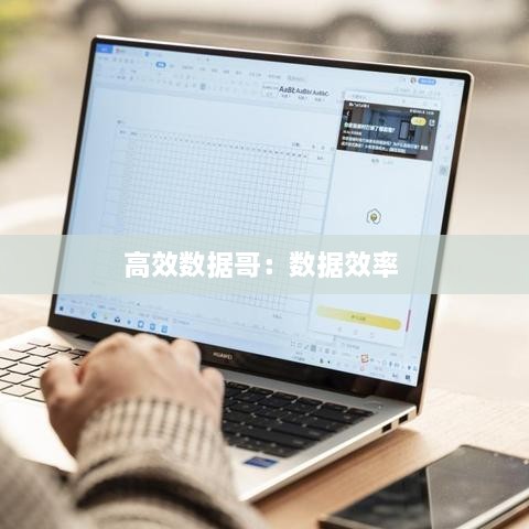 高效数据哥：数据效率 