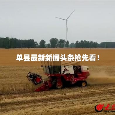 单县最新新闻头条抢先看！