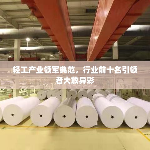 轻工产业领军典范，行业前十名引领者大放异彩