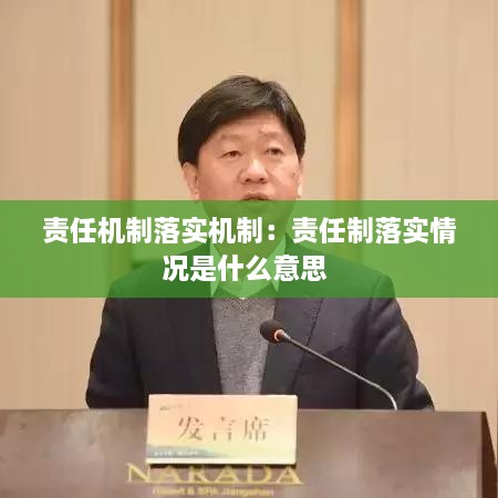 责任机制落实机制：责任制落实情况是什么意思 