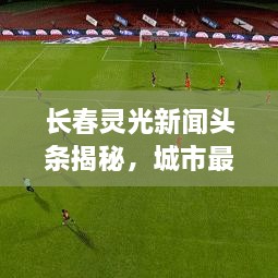 niaofuweichao 第2页