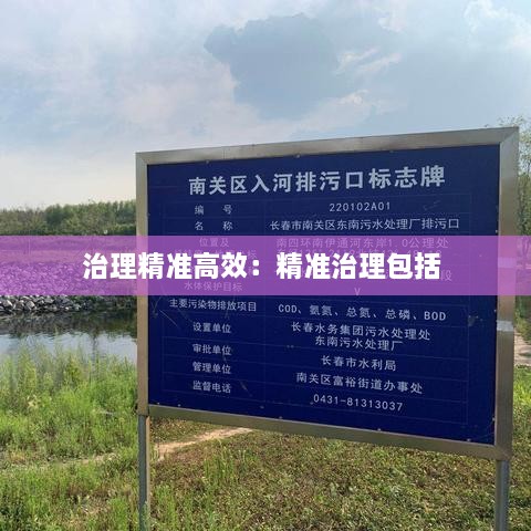 治理精准高效：精准治理包括 