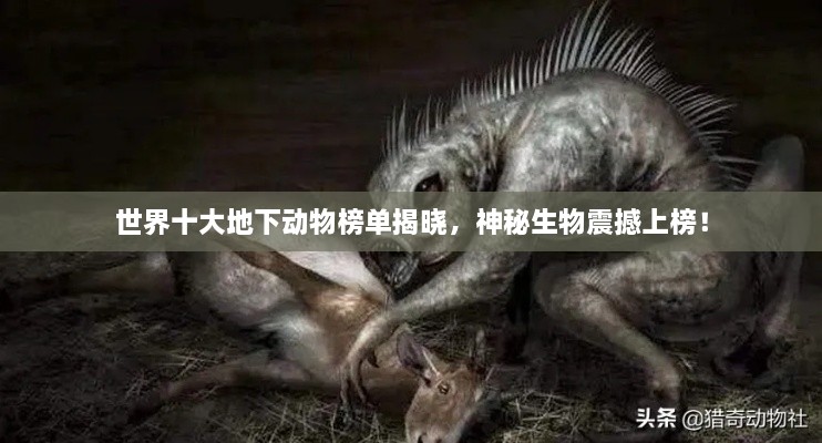 世界十大地下动物榜单揭晓，神秘生物震撼上榜！