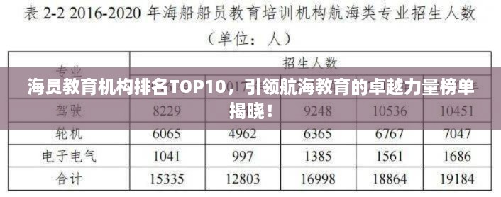 海员教育机构排名TOP10，引领航海教育的卓越力量榜单揭晓！