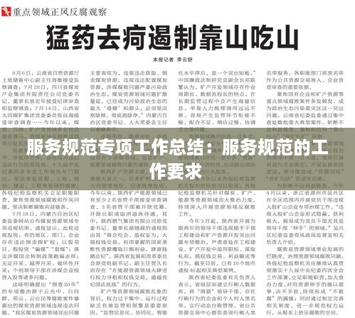 服务规范专项工作总结：服务规范的工作要求 