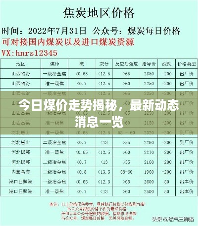 今日煤价走势揭秘，最新动态消息一览