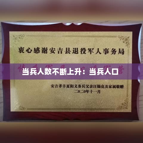 当兵人数不断上升：当兵人口 