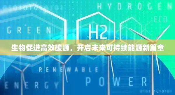 生物促进高效碳源，开启未来可持续能源新篇章