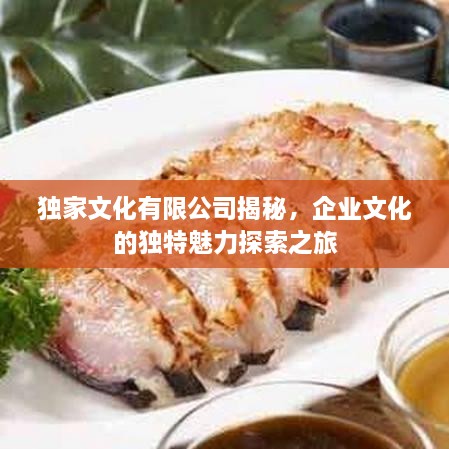 独家文化有限公司揭秘，企业文化的独特魅力探索之旅