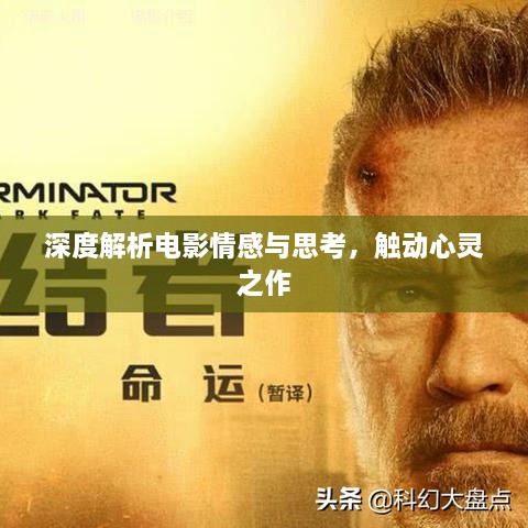 深度解析电影情感与思考，触动心灵之作