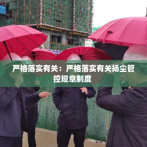 严格落实有关：严格落实有关扬尘管控规章制度 