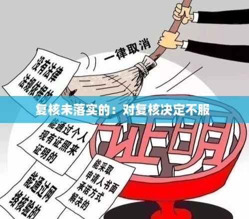 复核未落实的：对复核决定不服 