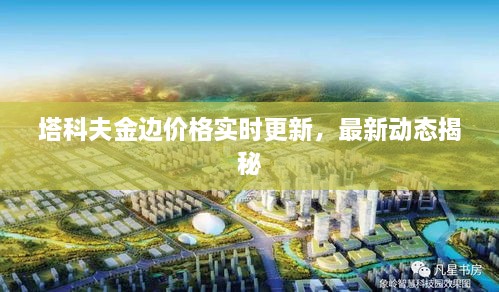 塔科夫金边价格实时更新，最新动态揭秘