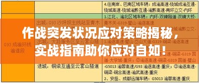 作战突发状况应对策略揭秘，实战指南助你应对自如！
