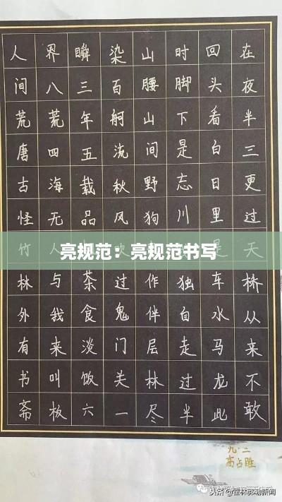 亮规范：亮规范书写 