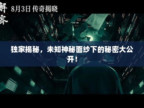 独家揭秘，未知神秘面纱下的秘密大公开！