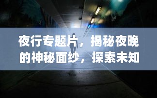 夜行专题片，揭秘夜晚的神秘面纱，探索未知的世界