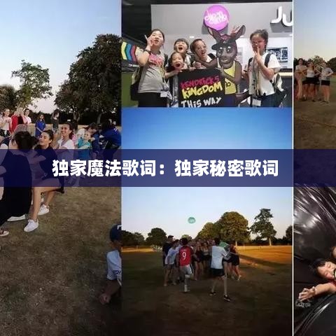 独家魔法歌词：独家秘密歌词 