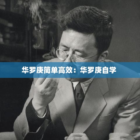 华罗庚简单高效：华罗庚自学 