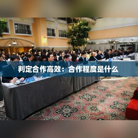 判定合作高效：合作程度是什么 