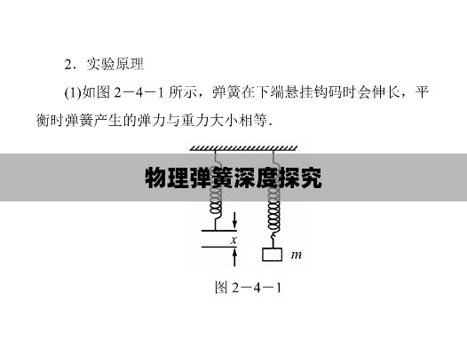 物理弹簧深度探究