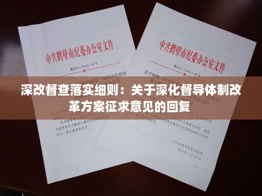 深改督查落实细则：关于深化督导体制改革方案征求意见的回复 