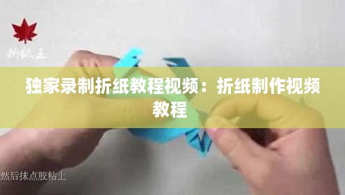 独家录制折纸教程视频：折纸制作视频教程 