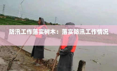防汛工作落实树木：落实防汛工作情况 