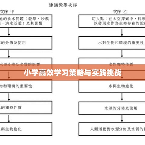 小学高效学习策略与实践挑战