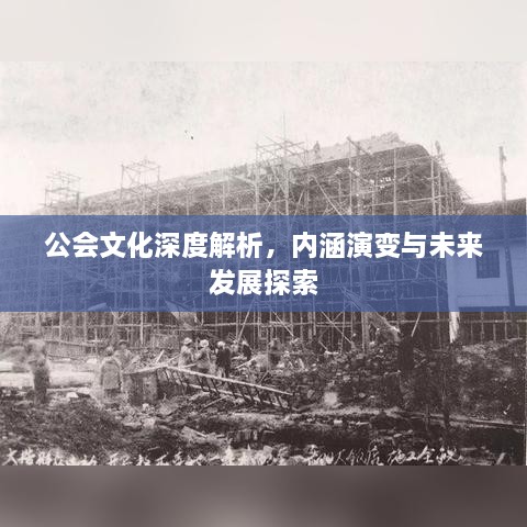 公会文化深度解析，内涵演变与未来发展探索