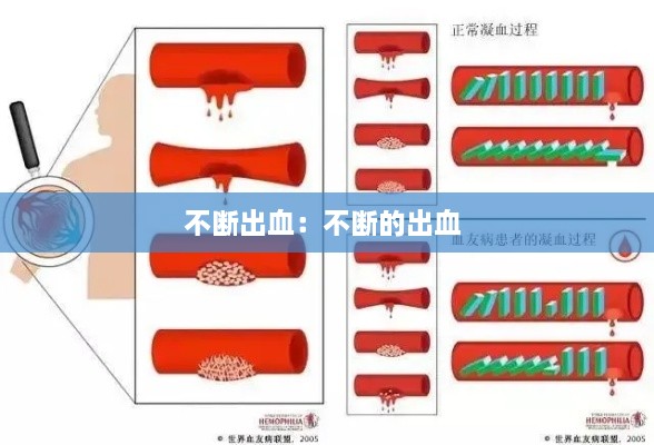 jianbanuzhang