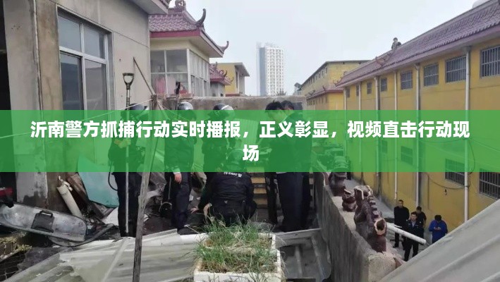 沂南警方抓捕行动实时播报，正义彰显，视频直击行动现场