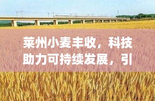 xiuwaihuizhong 第2页