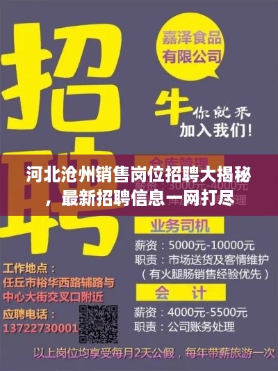 河北沧州销售岗位招聘大揭秘，最新招聘信息一网打尽