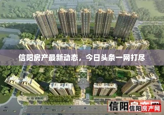 信阳房产最新动态，今日头条一网打尽