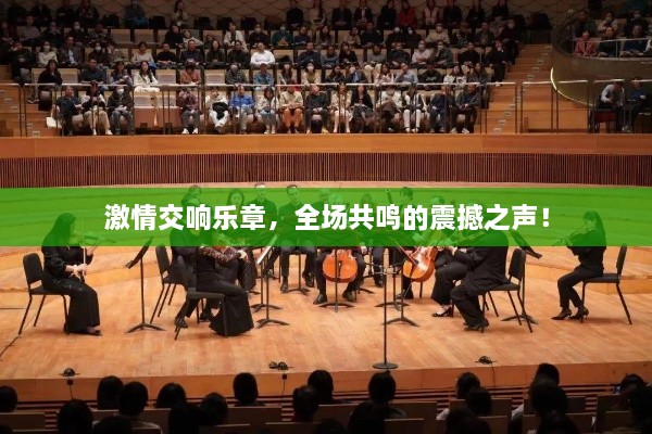 激情交响乐章，全场共鸣的震撼之声！