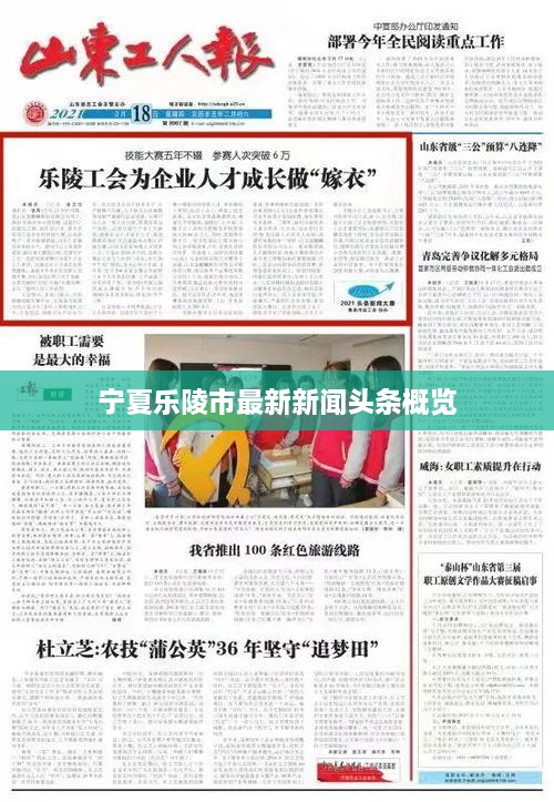 宁夏乐陵市最新新闻头条概览