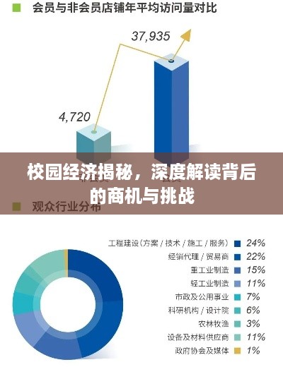 校园经济揭秘，深度解读背后的商机与挑战