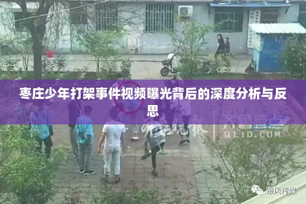 枣庄少年打架事件视频曝光背后的深度分析与反思