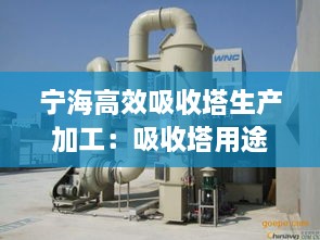反正还淳 第2页