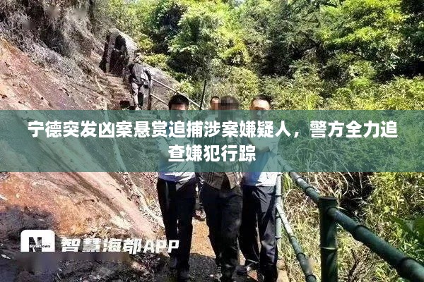 宁德突发凶案悬赏追捕涉案嫌疑人，警方全力追查嫌犯行踪