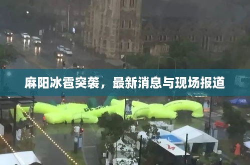 龙飞九五 第2页