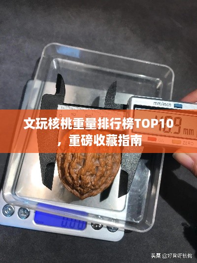 文玩核桃重量排行榜TOP10，重磅收藏指南