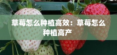 丰容盛鬋 第2页