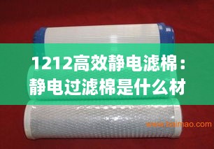 不求甚解 第2页