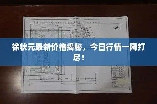 徐状元最新价格揭秘，今日行情一网打尽！