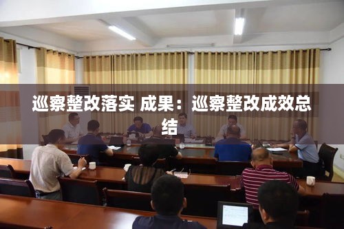 巡察整改落实 成果：巡察整改成效总结 