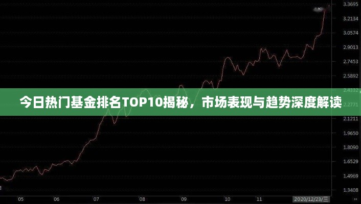 今日热门基金排名TOP10揭秘，市场表现与趋势深度解读